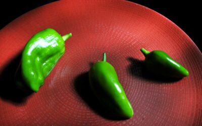 Assiette de poivrons