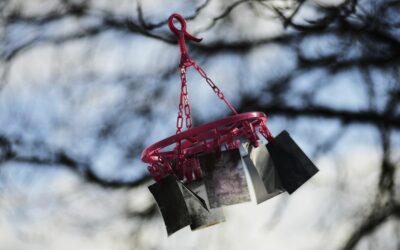 Négatifs au vent