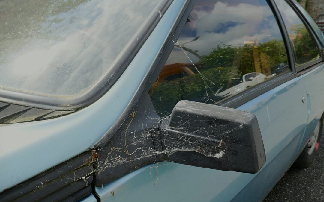 Auto immobile